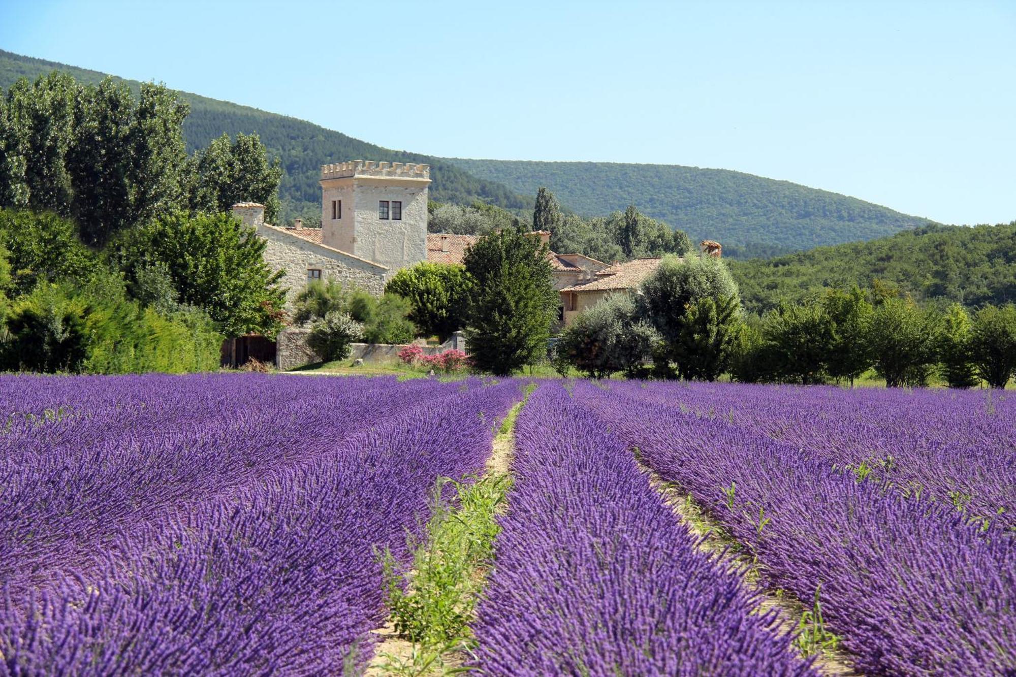 La Colombiere - Vue Imprenable Sur L'Ardeche - Tres Calme - Tres Bien Situe - Residence Privee Montélimar Buitenkant foto