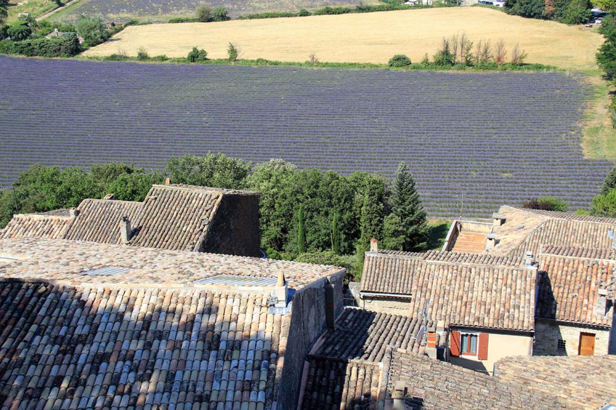 La Colombiere - Vue Imprenable Sur L'Ardeche - Tres Calme - Tres Bien Situe - Residence Privee Montélimar Buitenkant foto